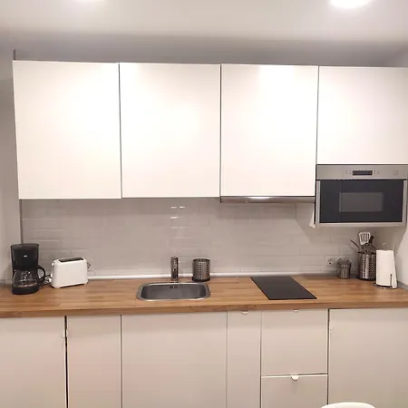 Opera Campoamor Apartment Oviedo